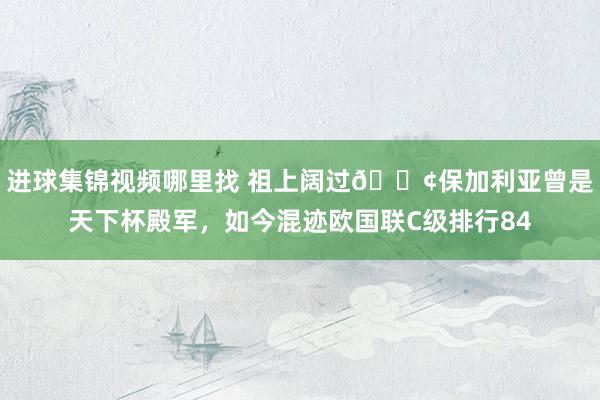 进球集锦视频哪里找 祖上阔过😢保加利亚曾是天下杯殿军，如今混迹欧国联C级排行84