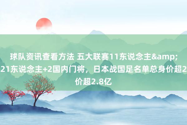 球队资讯查看方法 五大联赛11东说念主&旅欧21东说念主+2国内门将，日本战国足名单总身价超2.8亿