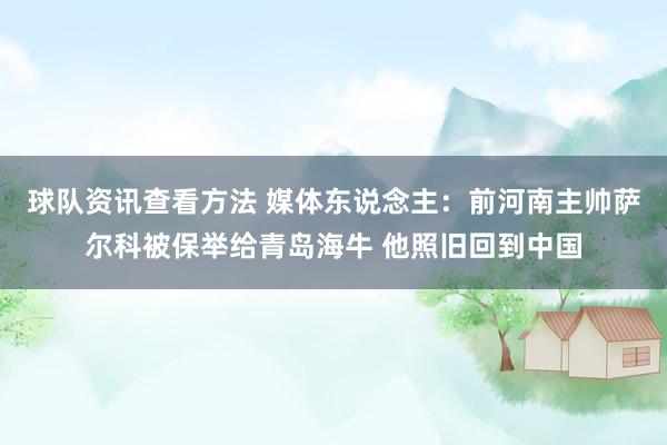 球队资讯查看方法 媒体东说念主：前河南主帅萨尔科被保举给青岛海牛 他照旧回到中国