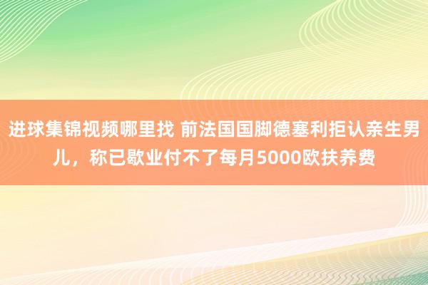 进球集锦视频哪里找 前法国国脚德塞利拒认亲生男儿，称已歇业付不了每月5000欧扶养费