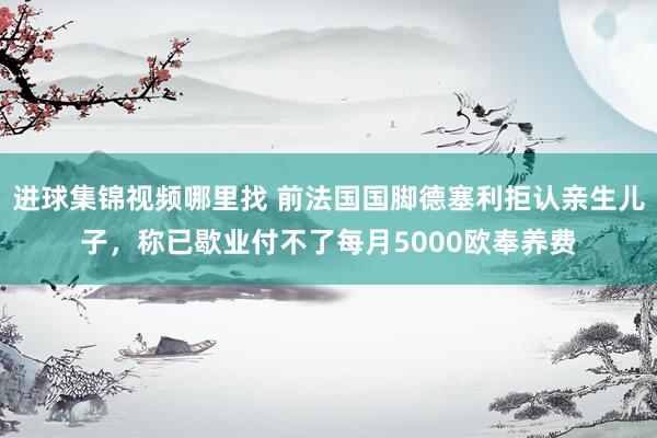 进球集锦视频哪里找 前法国国脚德塞利拒认亲生儿子，称已歇业付不了每月5000欧奉养费