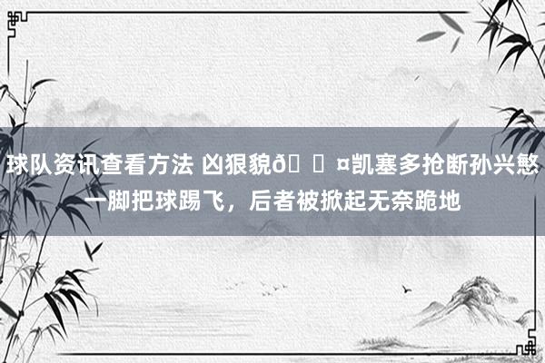 球队资讯查看方法 凶狠貌😤凯塞多抢断孙兴慜一脚把球踢飞，后者被掀起无奈跪地