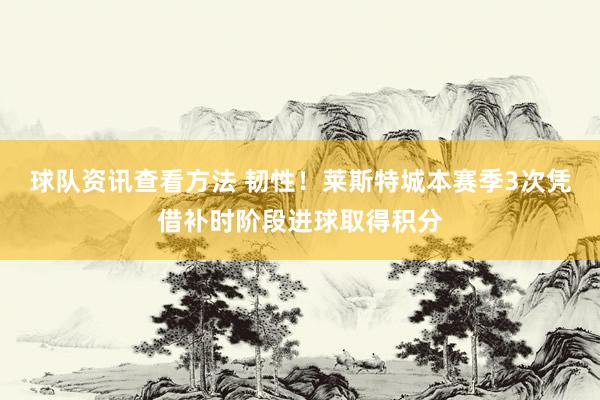 球队资讯查看方法 韧性！莱斯特城本赛季3次凭借补时阶段进球取得积分