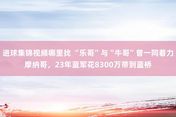 进球集锦视频哪里找 “乐哥”与“牛哥”曾一同着力摩纳哥，23年蓝军花8300万带到蓝桥