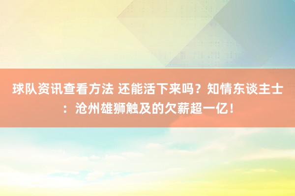 球队资讯查看方法 还能活下来吗？知情东谈主士：沧州雄狮触及的欠薪超一亿！