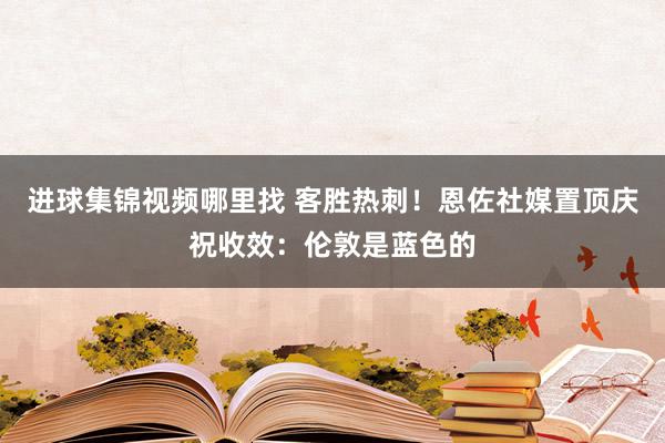 进球集锦视频哪里找 客胜热刺！恩佐社媒置顶庆祝收效：伦敦是蓝色的