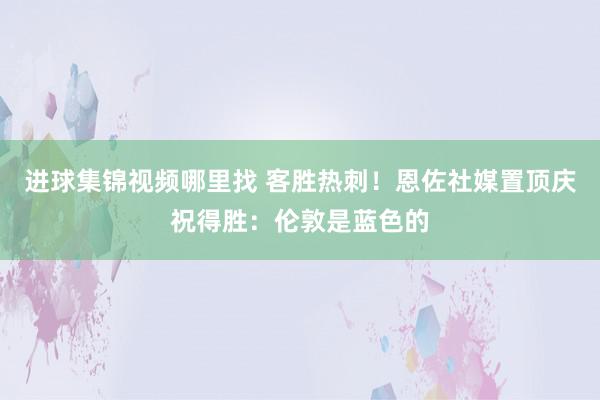 进球集锦视频哪里找 客胜热刺！恩佐社媒置顶庆祝得胜：伦敦是蓝色的