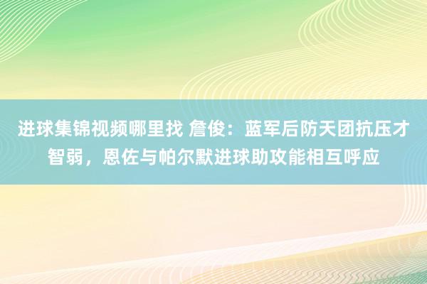 进球集锦视频哪里找 詹俊：蓝军后防天团抗压才智弱，恩佐与帕尔默进球助攻能相互呼应