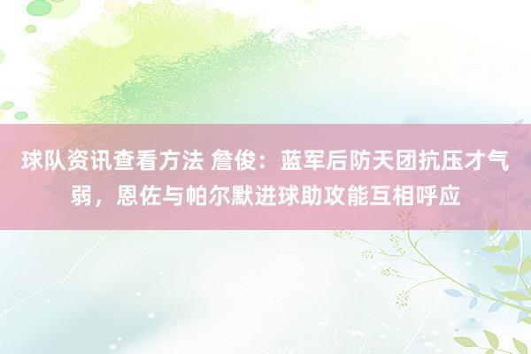 球队资讯查看方法 詹俊：蓝军后防天团抗压才气弱，恩佐与帕尔默进球助攻能互相呼应