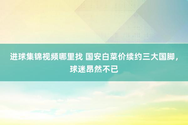 进球集锦视频哪里找 国安白菜价续约三大国脚，球迷昂然不已