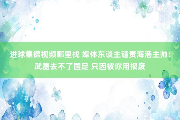 进球集锦视频哪里找 媒体东谈主谴责海港主帅：武磊去不了国足 只因被你用报废