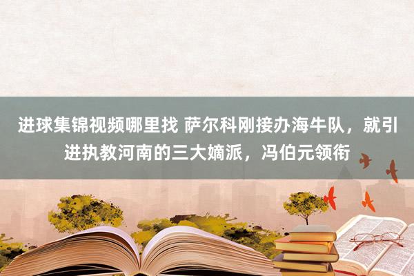 进球集锦视频哪里找 萨尔科刚接办海牛队，就引进执教河南的三大嫡派，冯伯元领衔