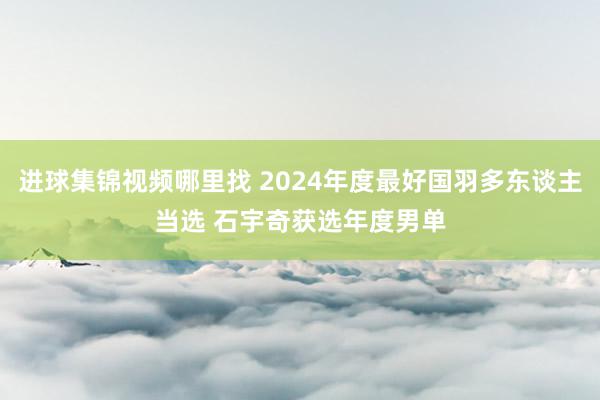 进球集锦视频哪里找 2024年度最好国羽多东谈主当选 石宇奇获选年度男单