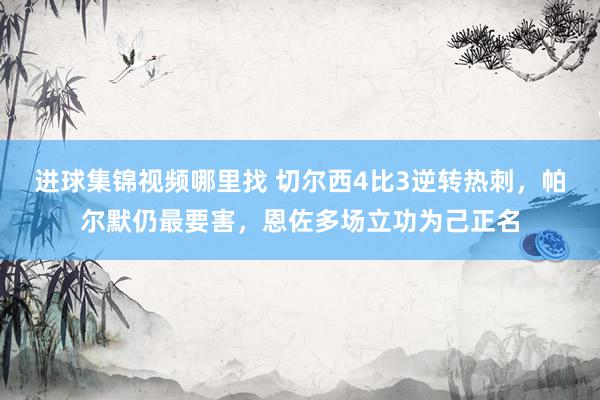 进球集锦视频哪里找 切尔西4比3逆转热刺，帕尔默仍最要害，恩佐多场立功为己正名